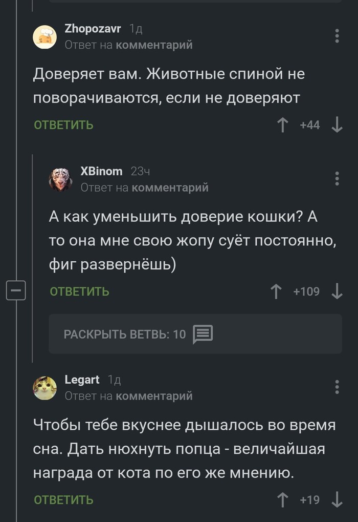 ������ �������