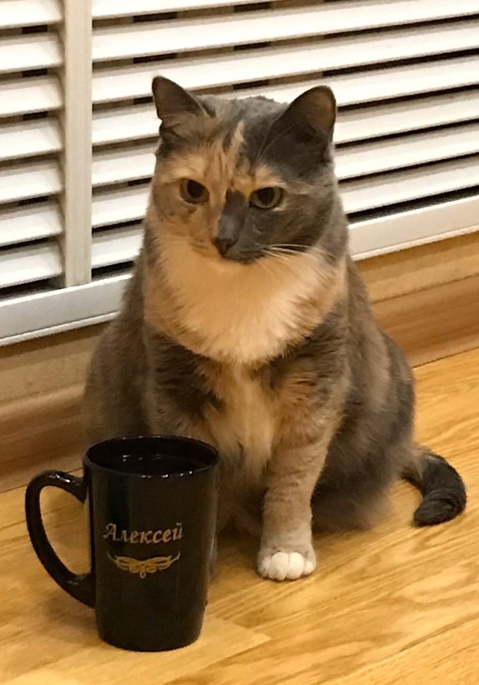 ����� �������