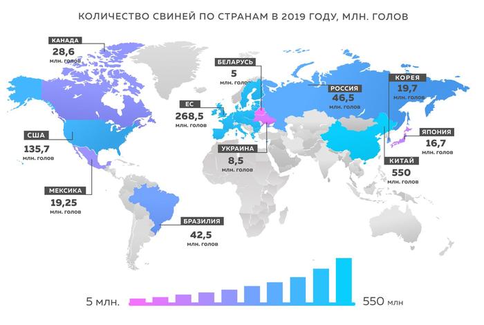 Leading countries in pig population - My, Interesting, Informative, Statistics, Сельское хозяйство, Farm, Farmer, Products, Livestock breeding