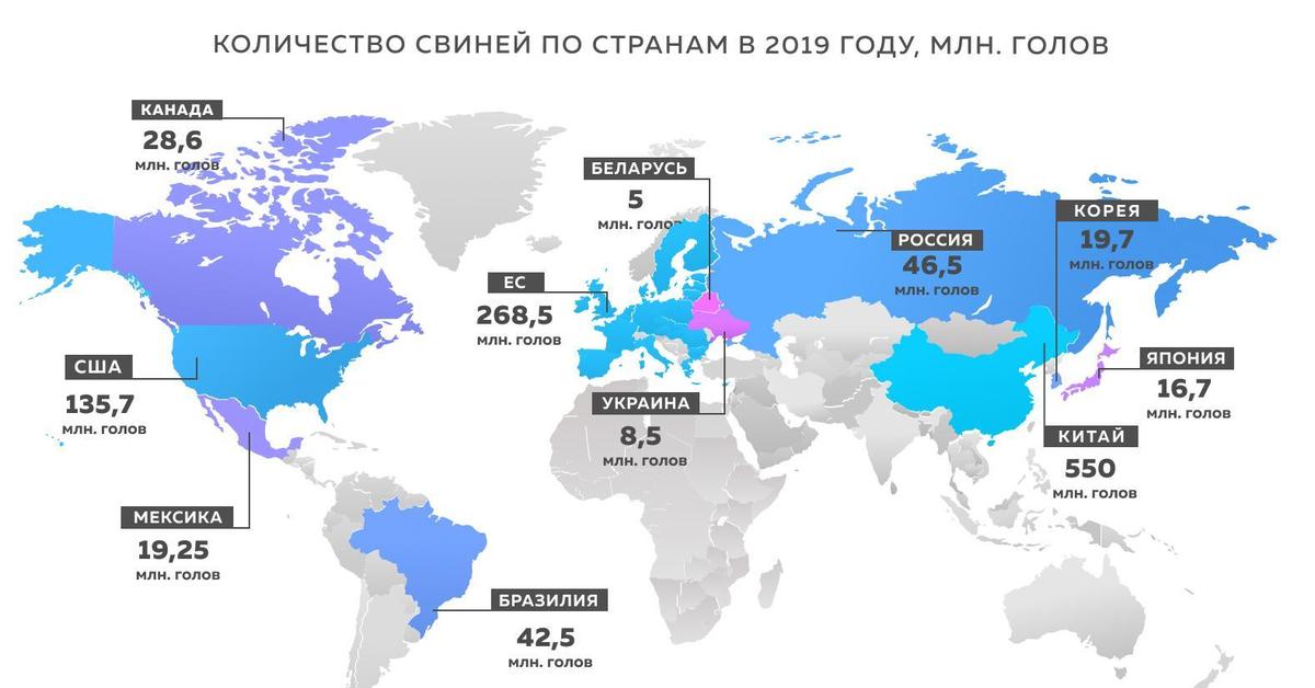 Свиноводство страны производители 3 страны. Поголовье свиней страны Лидеры. Свиноводство поголовье Страна Лидер. Страны-Лидеры по поголовью свиней в мире 2020. Поголовье свиней в мире 2019.