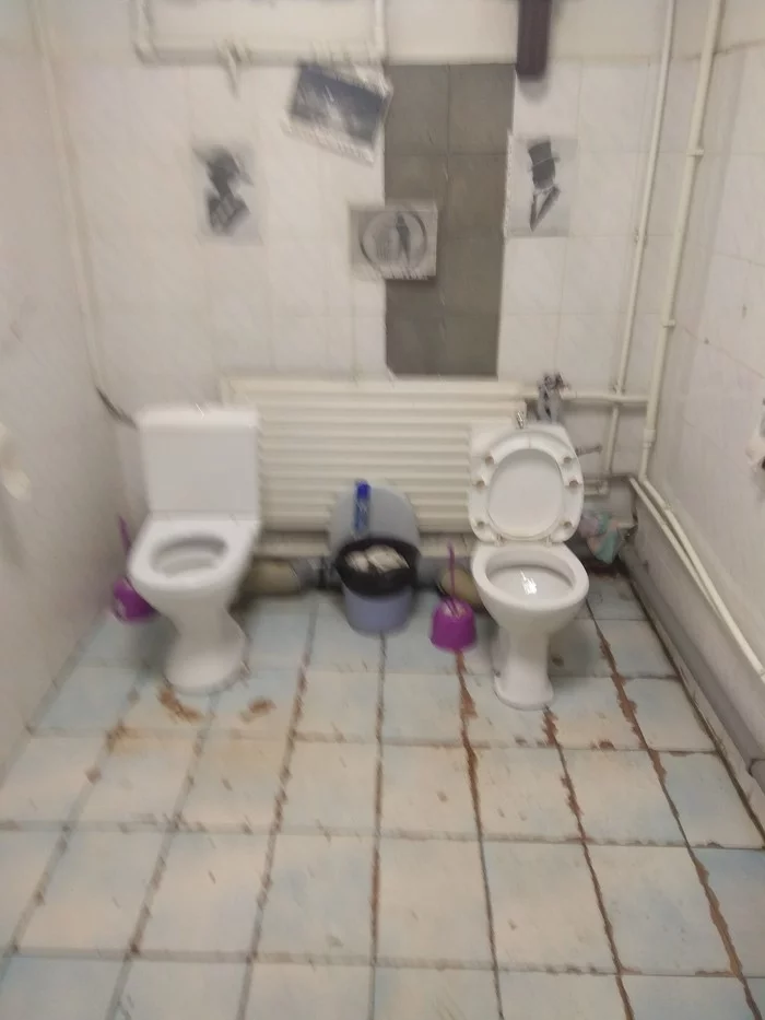 Extrovert's toilet - My, Toilet, Extrovert