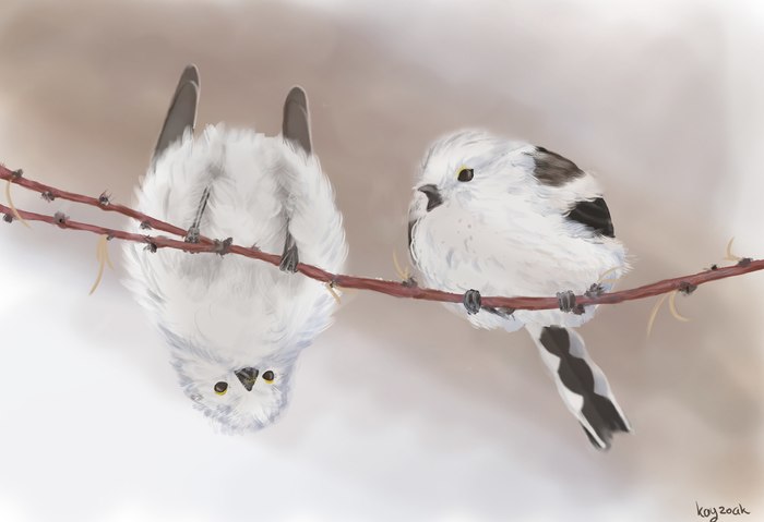 Tweet? - My, Long-tailed, Fluffy, Winter, Chirp, Upside down