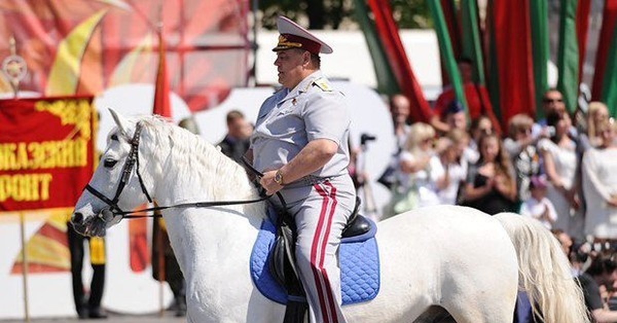 Белая лошадь теракт. Парад Победы лошади. Конь на параде. Парад лошадей. День Победы лошади.