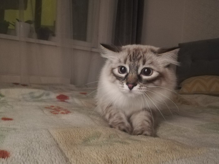 ������ ��� � �����