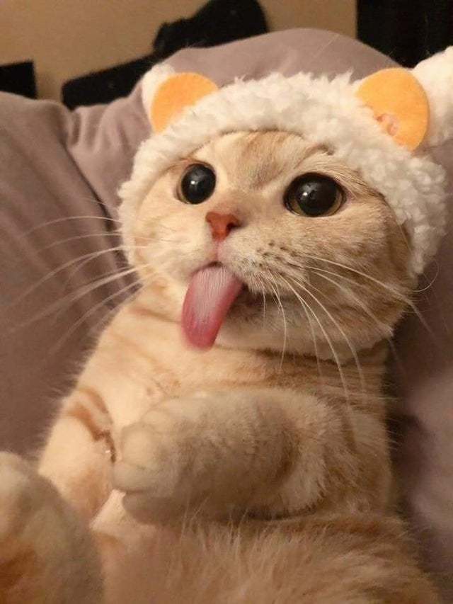  ,  , 
