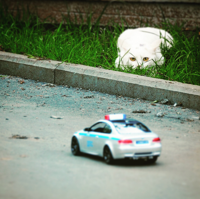 ����� �����, �� ����������!