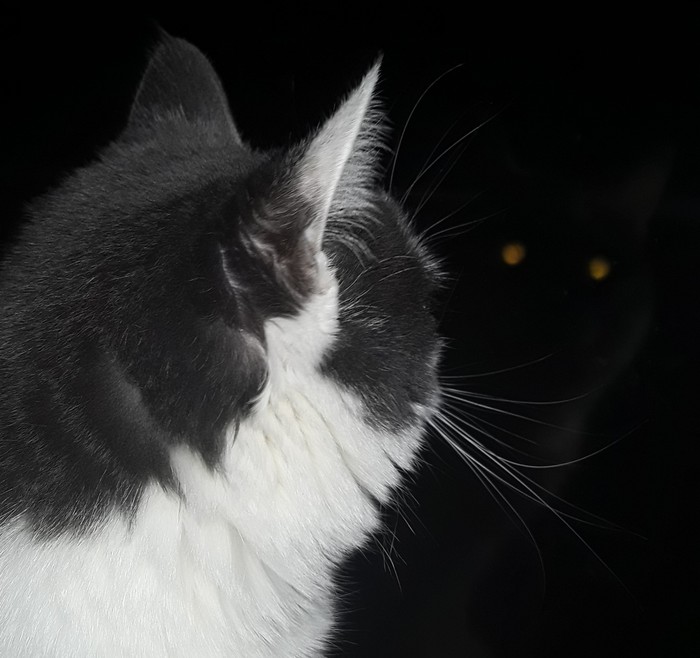 ���������� �����