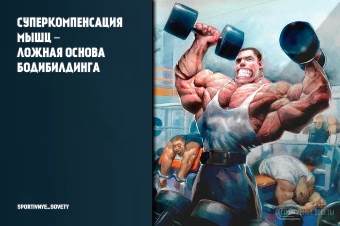 Muscle supercompensation is the false basis of bodybuilding - My, Sport, Тренер, Sports Tips, Body-building, Research, Deception, Muscle, Gym, Longpost