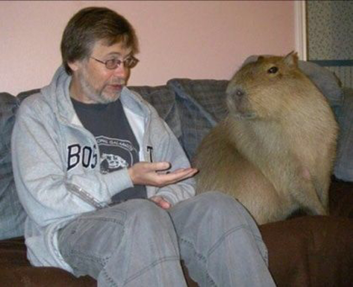 ����� �� ������� �������� ?