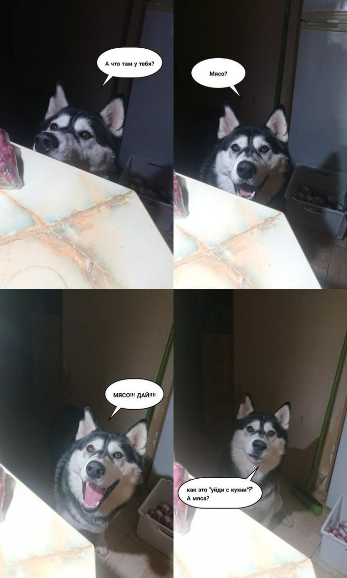    ? , ,  ,  (), 