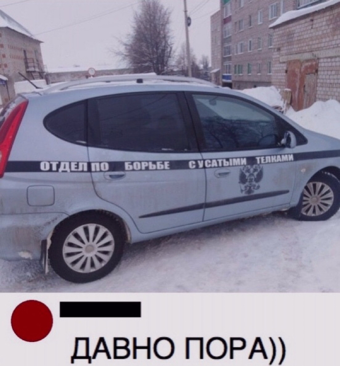 ��� ����� ������, ����� ��������� ������� ������