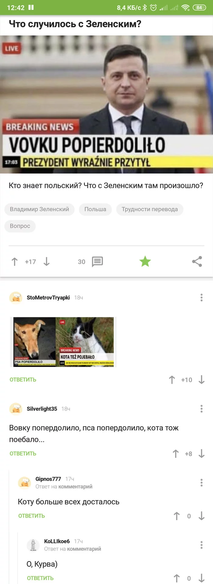 Everyone got hit, especially the cat got it - Vladimir Zelensky, Poland strong, Longpost, Screenshot