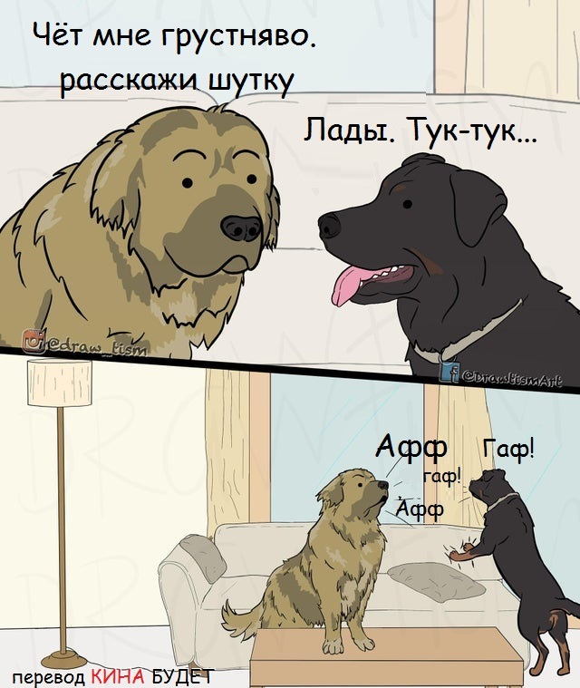 Great joke... For dogs - Dog, Humor, Knock Knock, Comics, Translated by myself