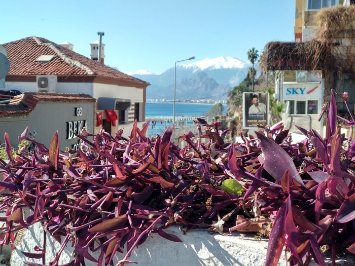 Чартером в Турцию - молись и лети Путешествия, Турция, Россия, Самолет, Чартерные рейсы, Авиация, Туризм, Длиннопост