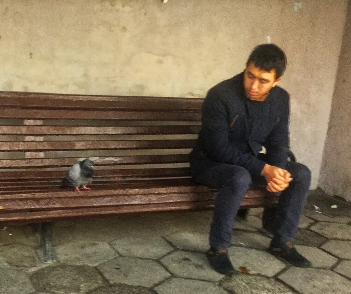 A dove is waiting for a bus to a happy future - Benches, Men, Birds, Hopelessness, Pigeon, Depressed, My