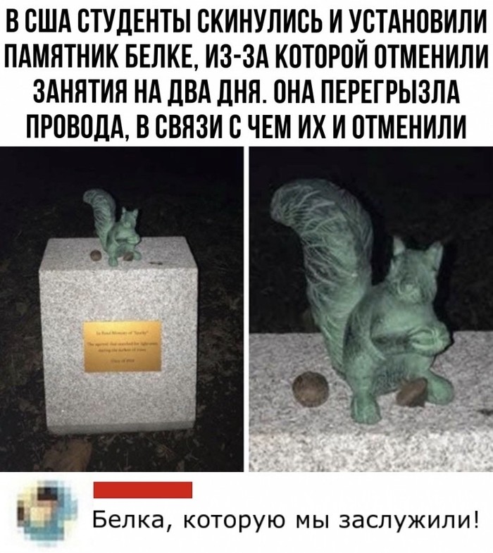 Молодец, умный зверек!