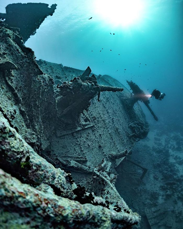 Алекс Доусон (Alex Dawson)— фотограф, аквалангист и режиссер Фотография, Дайвинг, Море, Длиннопост
