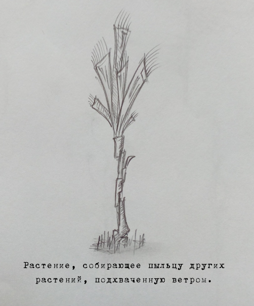 Когда опадает последний лепесток - Моё, Рассказ, История, Фантастика, Фантастические миры, Длиннопост, Сказочные животные, Другая планета