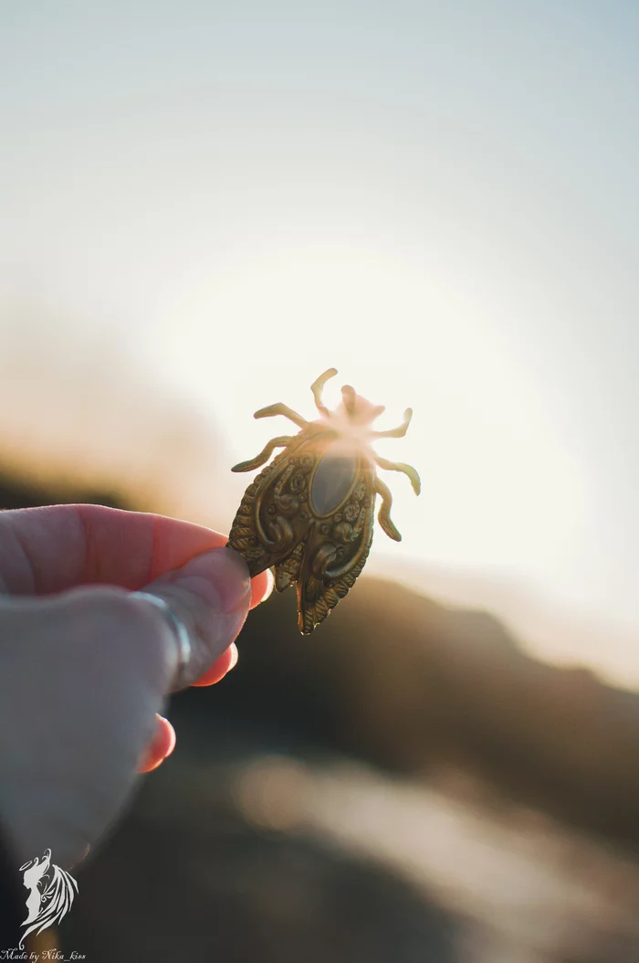 Cicada made from polymer clay - My, Handmade, Polymer clay, Longpost, Cicada, Nika_kiss, Insects