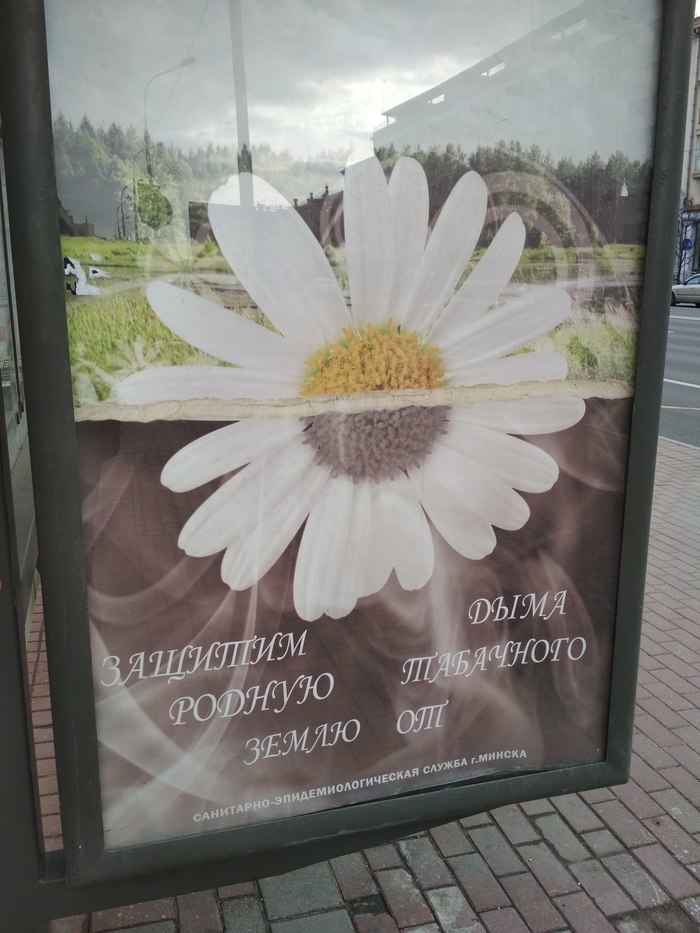 Защитим дыма