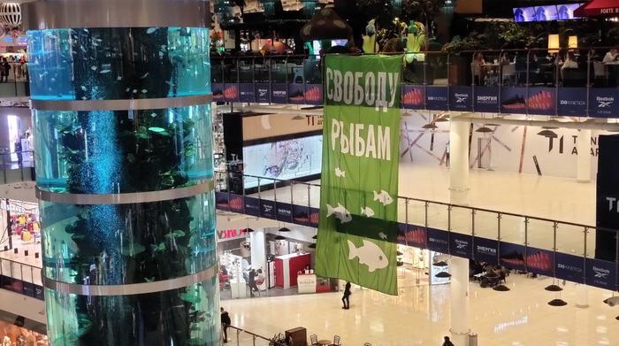 "Зелёные" активисты повесили банер в одном из самых крупных ТЦ Москвы, а охрана не заметила