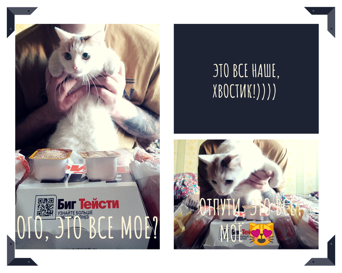 Хвостик наглеет!)