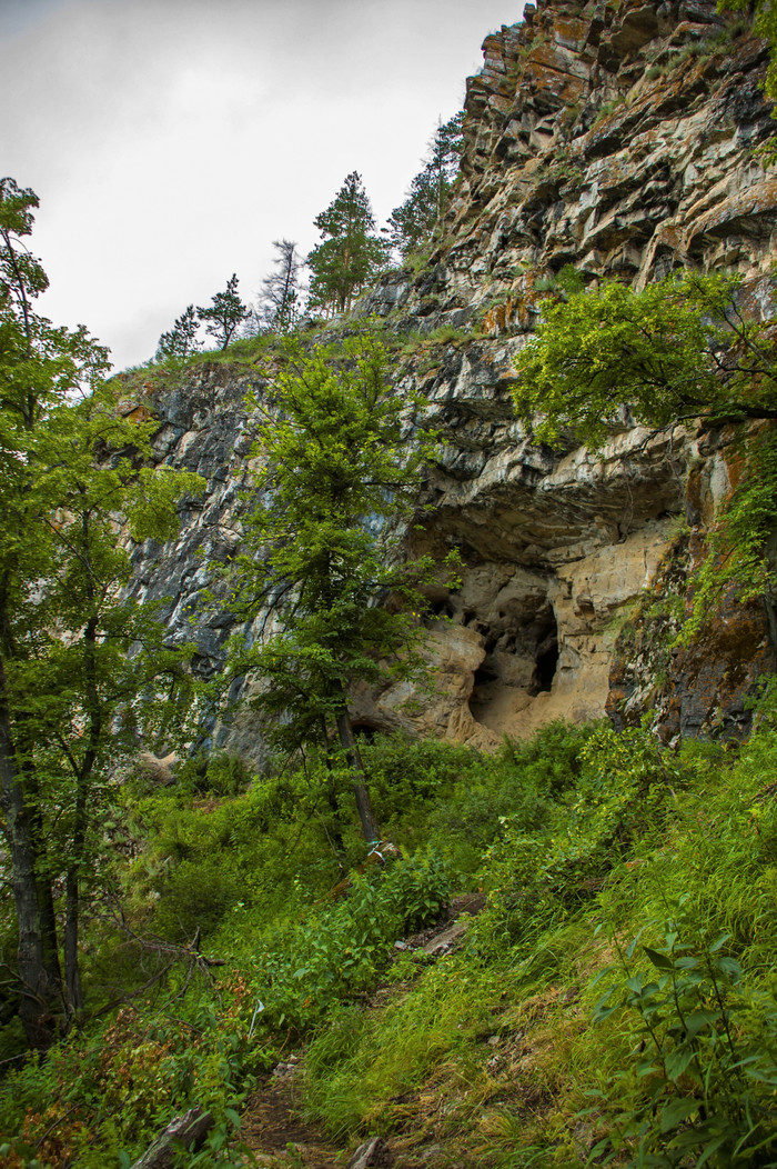 Сикияз тамак фото