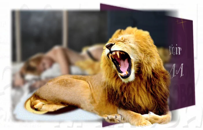 In bed with a lion - My, Story, Story, Story, Humor, Oddities, Neighbours, Men and women, Fantasy, Longpost