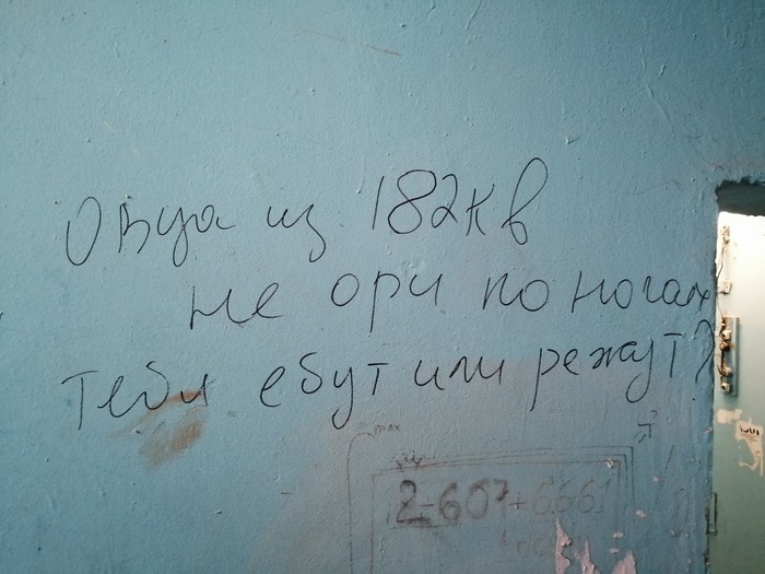 ���� ������