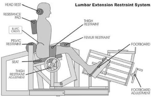 Powerlifting makes your muscles stronger, but not your lower back muscles - My, Sport, Sports Tips, Powerlifting, Research, Back, Pain, Power, Longpost