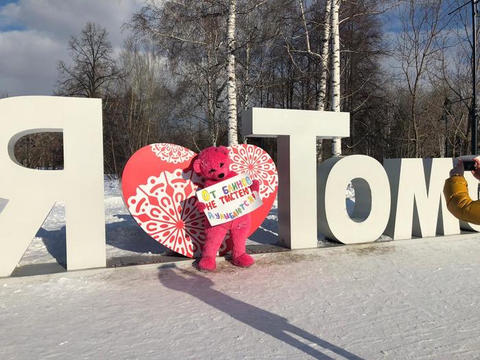 PINK BEAR in Tomsk and Maslenitsa - My, Spring, The Bears, Maslenitsa, Video, Longpost