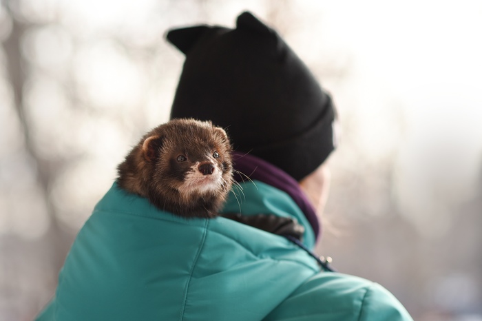 Удобненько