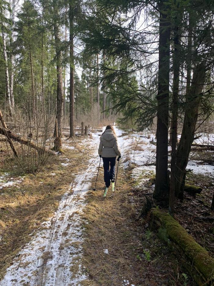 Happy last day of winter! I haven’t been everywhere, but that’s okay - Winter, The photo, Asphalt, Forest