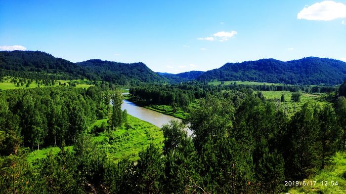 Foothills - My, Altai region, Relaxation, Longpost