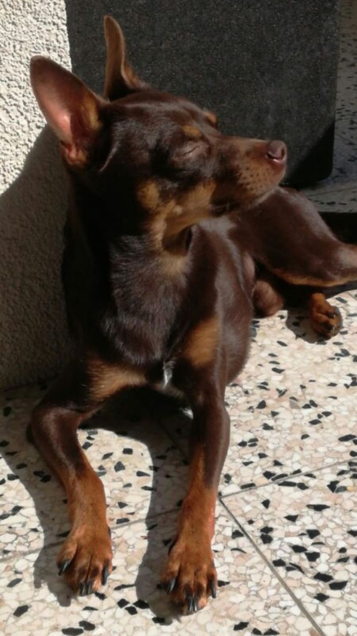 Просто наслаждается (кайфует)