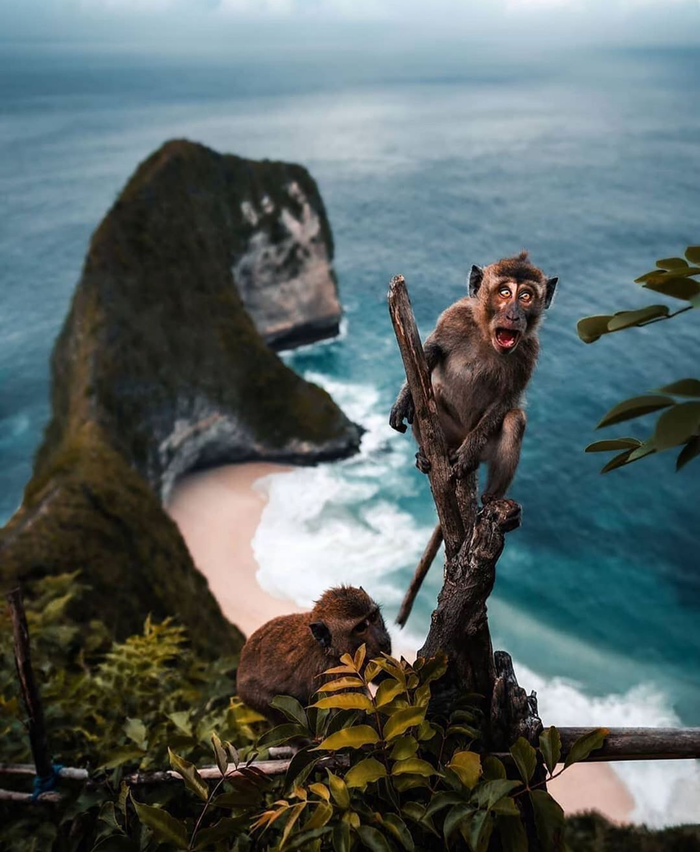 Неожиданная встреча на Нуса Пенида