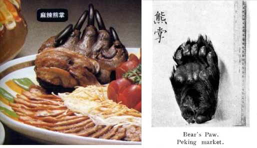 Китайская кухня: от пыток живых к могилам мертвых Китай, Кулинария, Вирус, Страшно, История, Медицина, Scientaevulgaris, Длиннопост, Жесть Китайская кухня: от пыток живых к могилам мертвых Китай, Кулинария, Вирус, Страшно, История, Медицина, Scientaevulgaris, Длиннопост, Жесть