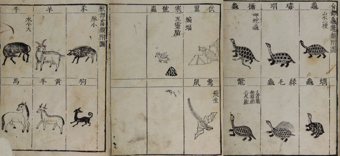 Китайская кухня: от пыток живых к могилам мертвых Китай, Кулинария, Вирус, Страшно, История, Медицина, Scientaevulgaris, Длиннопост, Жесть Китайская кухня: от пыток живых к могилам мертвых Китай, Кулинария, Вирус, Страшно, История, Медицина, Scientaevulgaris, Длиннопост, Жесть