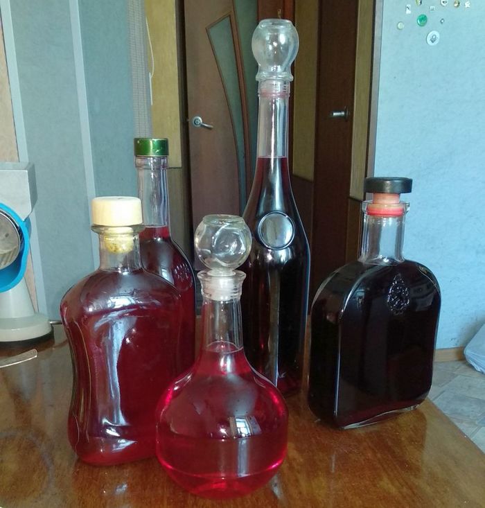 Малиновка и жимолость