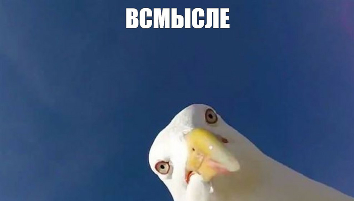 Вопрос Знатокам