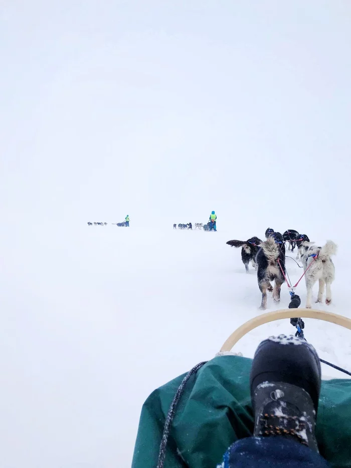 White silence - My, Musher, Spitsbergen, Arctic, Video, Longpost