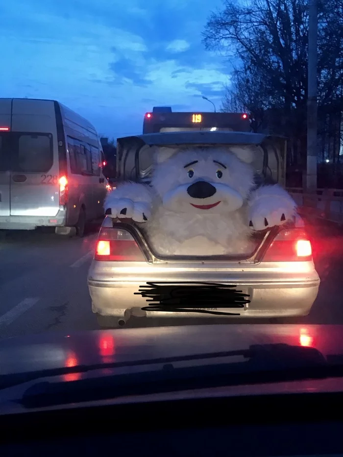 Ну привет - Авто, Медведи, Плюшевый медведь, Игрушки, Тверь