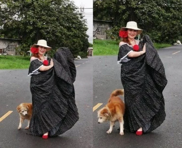 Didn't like - Dog, Flag Territory, Lady with a dog