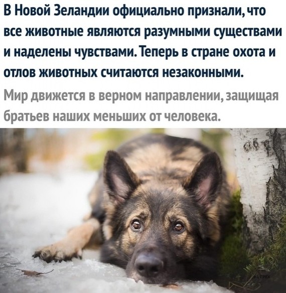 Может, они и верно поступают...