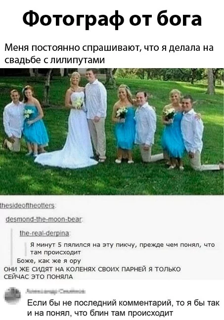 Lilliputian wedding - Wedding, Screenshot, It seemed, Comments