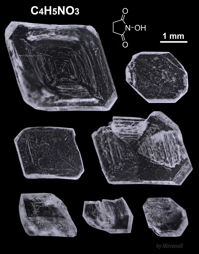 Кристаллы N-гидроксисукцинимида - Моё, Химия, Лига химиков, Органическая химия, Кристаллы, Микросъемка