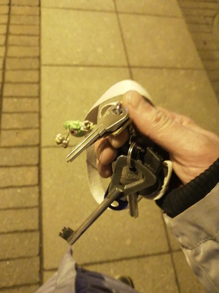 Found the keys - My, Lost, Found, Longpost, No rating