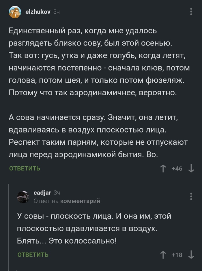 ��������� ���� ����
