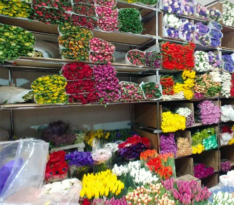 The agony of choice - My, Flowers, March 8 - International Women's Day