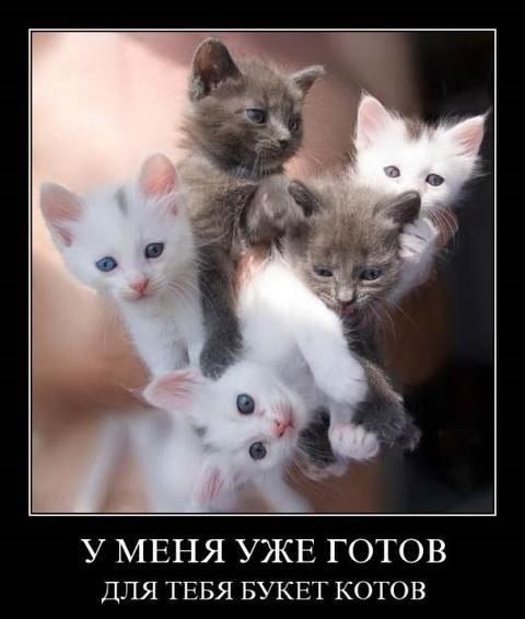 Забирайте их всех;)